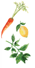 Decorational Image of Carrot Lemon and Herbs